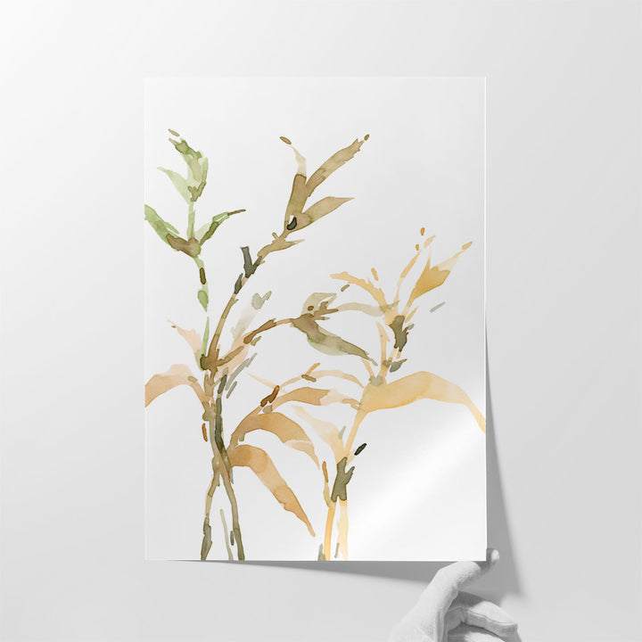 Stems II - Canvas Print Wall Art