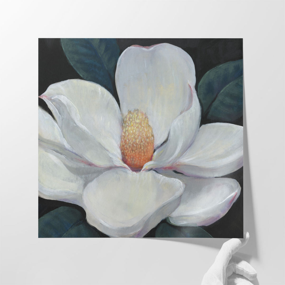 Blooming Magnolia I - Canvas Print Wall Art