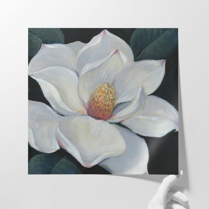 Blooming Magnolia II - Canvas Print Wall Art