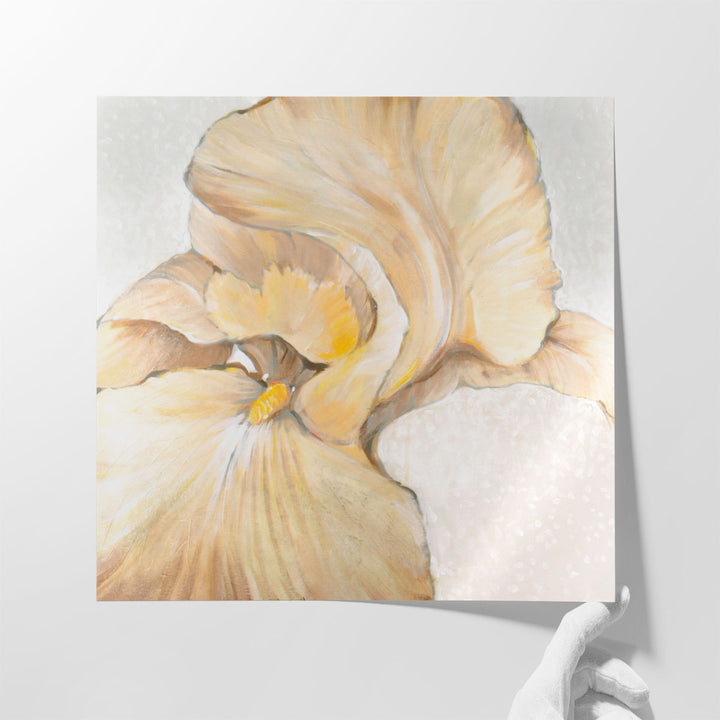 Iris Cream II - Canvas Print Wall Art