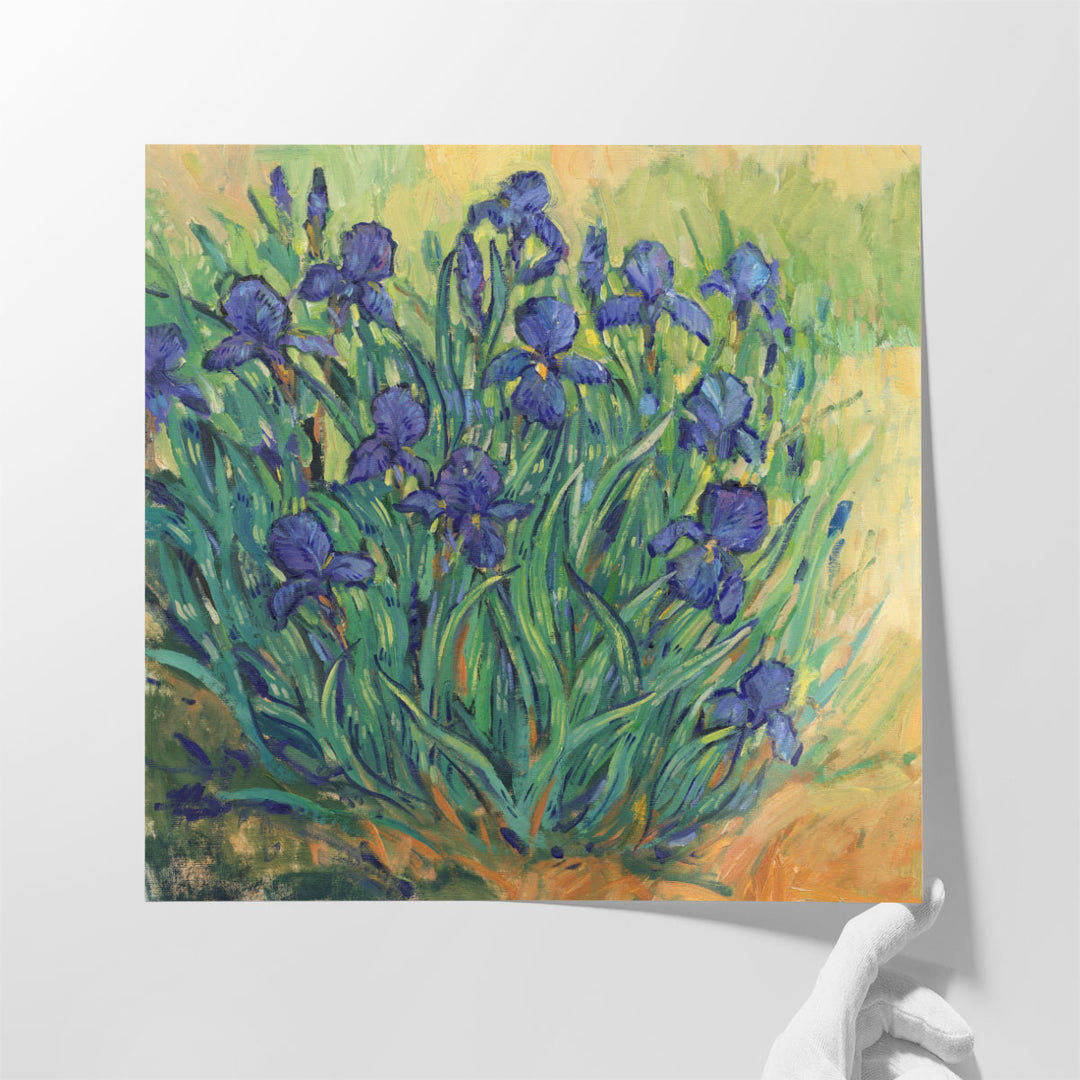 Irises in Bloom II - Canvas Print Wall Art