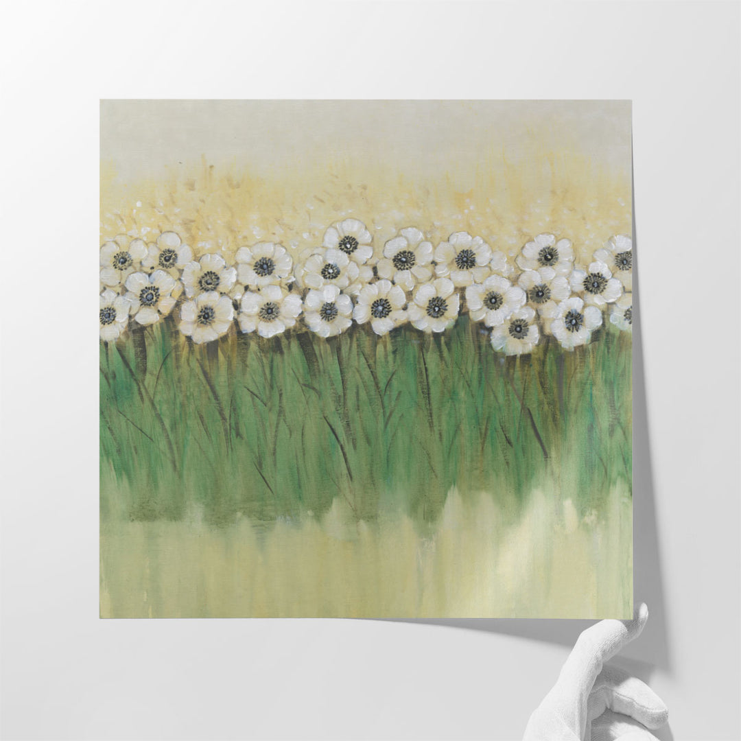 Rows of Flowers II - Canvas Print Wall Art