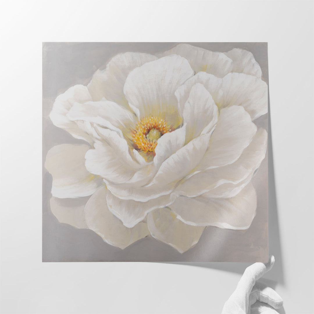 White Peony I - Canvas Print Wall Art