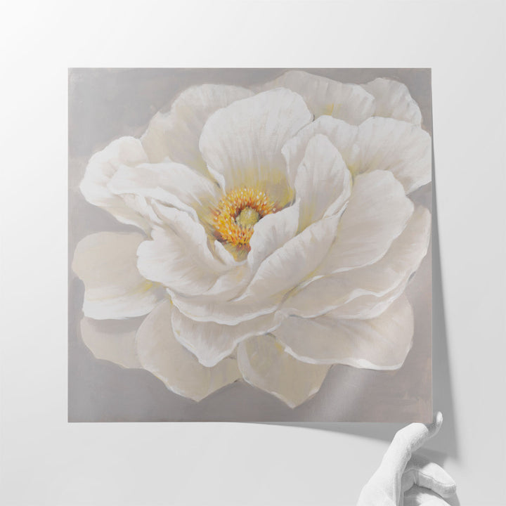 White Peony I - Canvas Print Wall Art