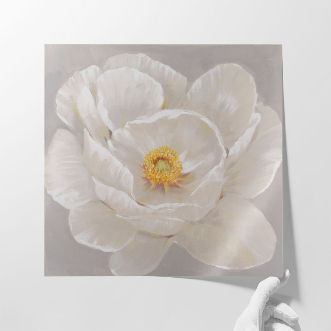 White Peony II - Canvas Print Wall Art