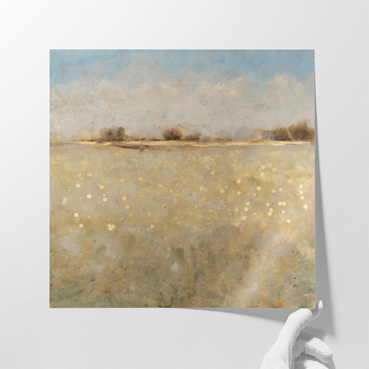 Meadow Plane I - Canvas Print Wall Art