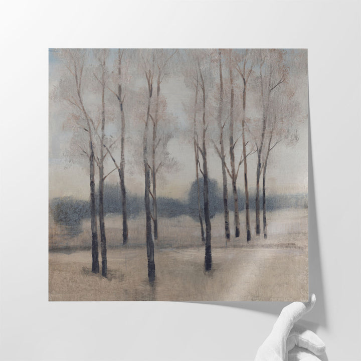 Soft Light I - Canvas Print Wall Art