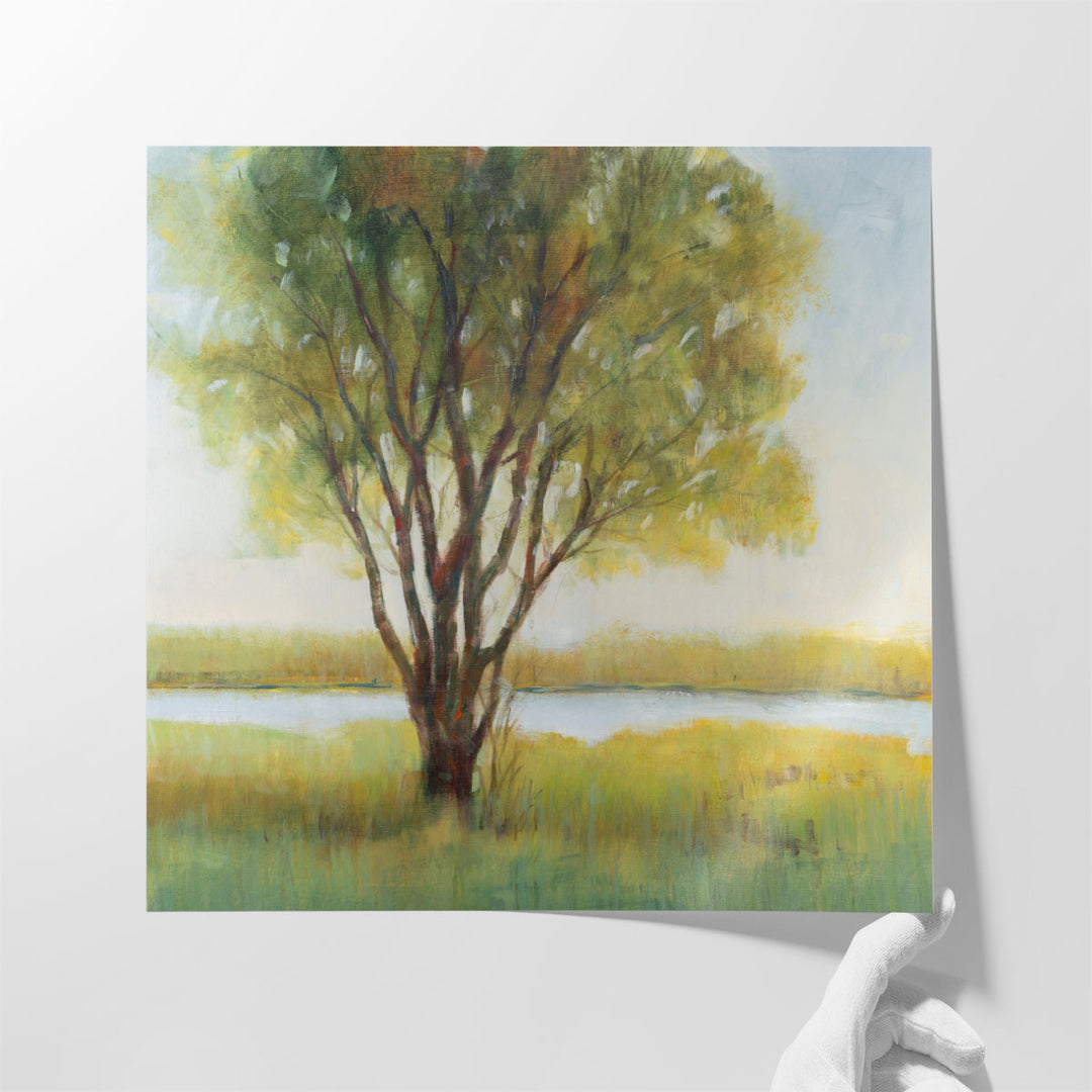 Shade Tree I - Canvas Print Wall Art