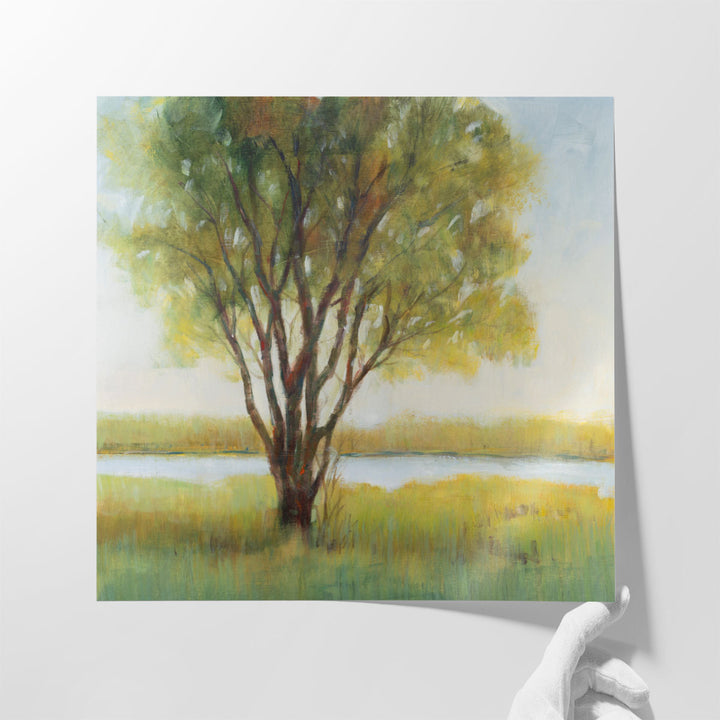 Shade Tree I - Canvas Print Wall Art