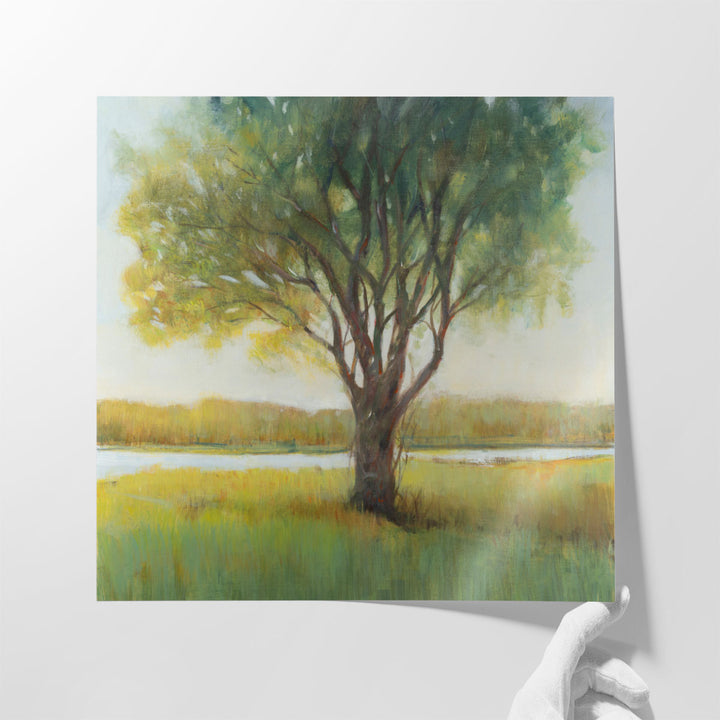 Shade Tree II - Canvas Print Wall Art