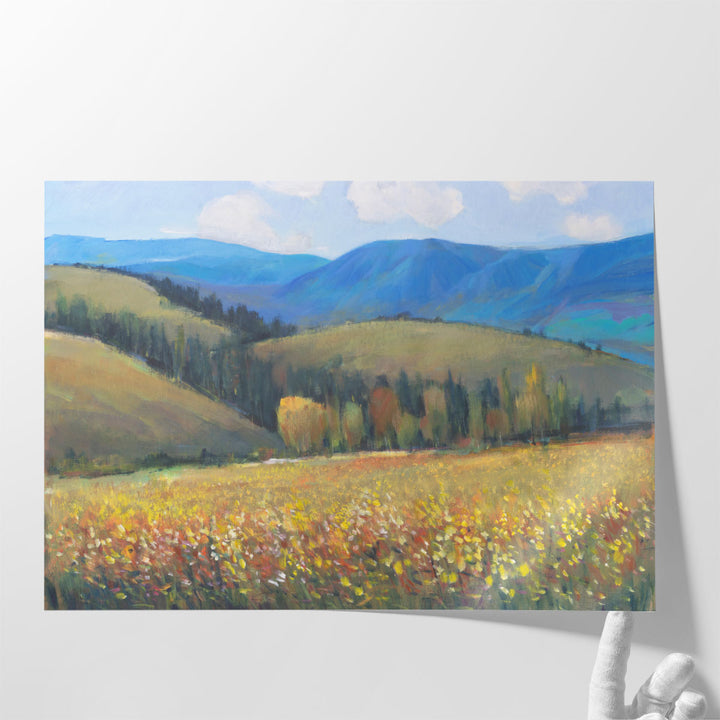 Mountain Pass I - Canvas Print Wall Art