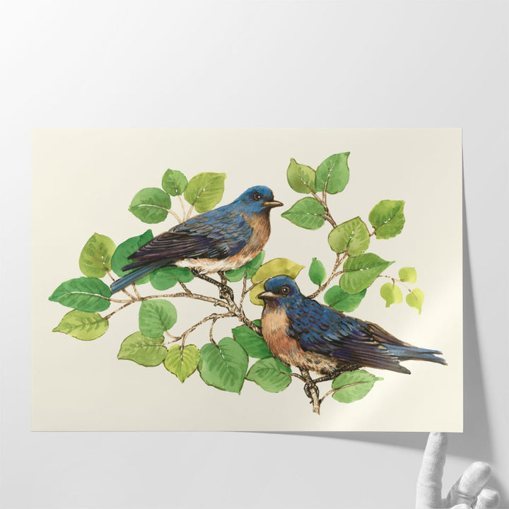 Song Birds I - Canvas Print Wall Art