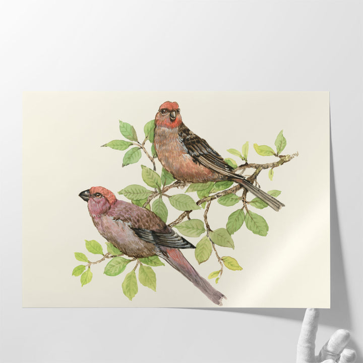 Song Birds II - Canvas Print Wall Art