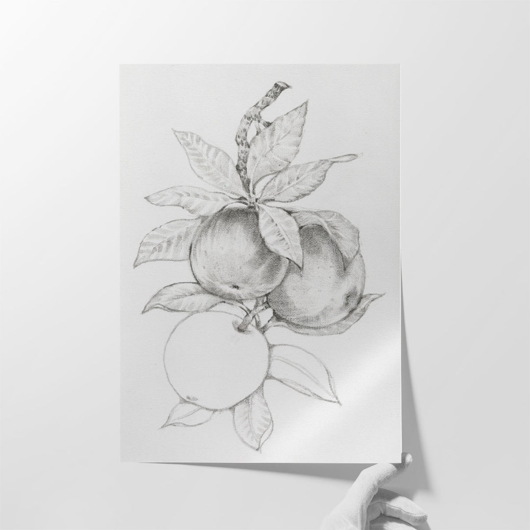 Fruit-Bearing Branch II - Canvas Print Wall Art