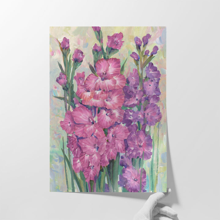 Gladiolas Blooming I - Canvas Print Wall Art