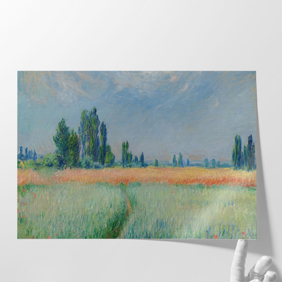 Wheatfield, 1881 - Canvas Print Wall Art