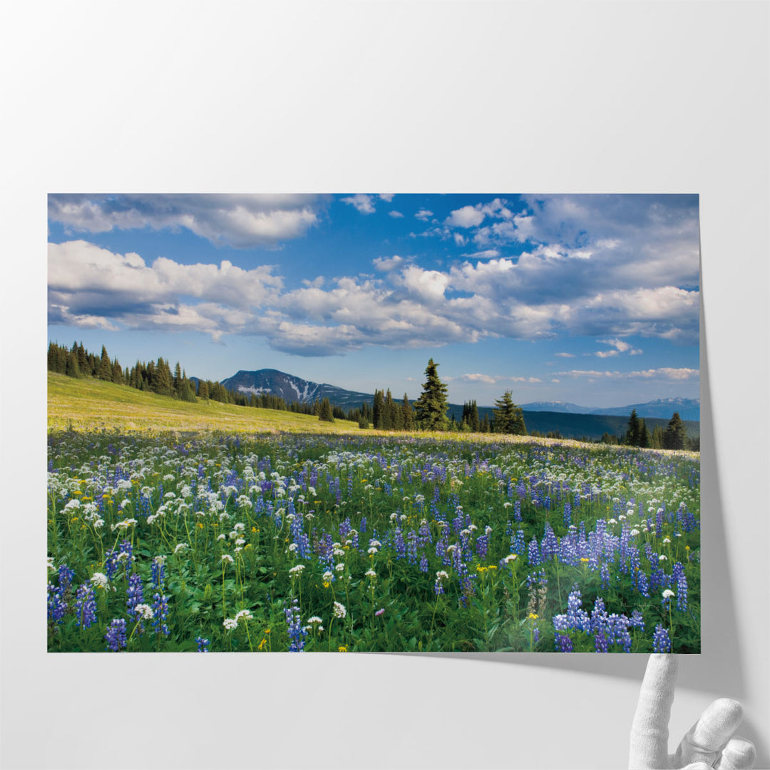 Trophy Meadows - Canvas Print Wall Art