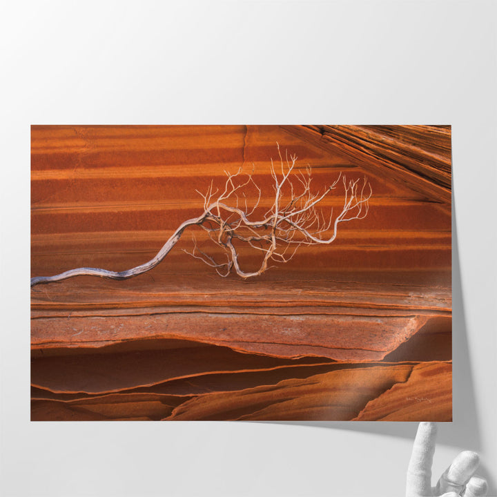 Coyote Buttes III - Canvas Print Wall Art