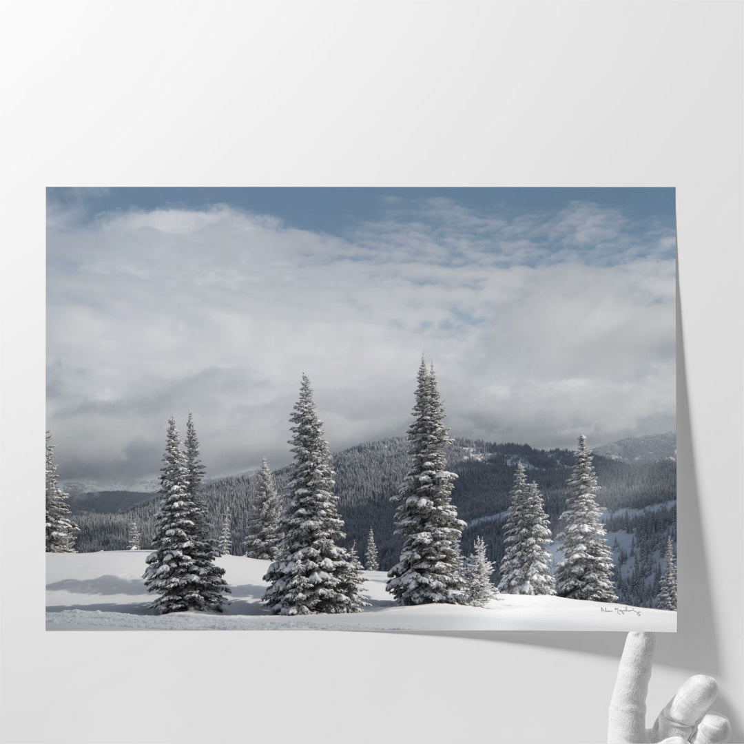 North Cascades in Winter II - Canvas Print Wall Art