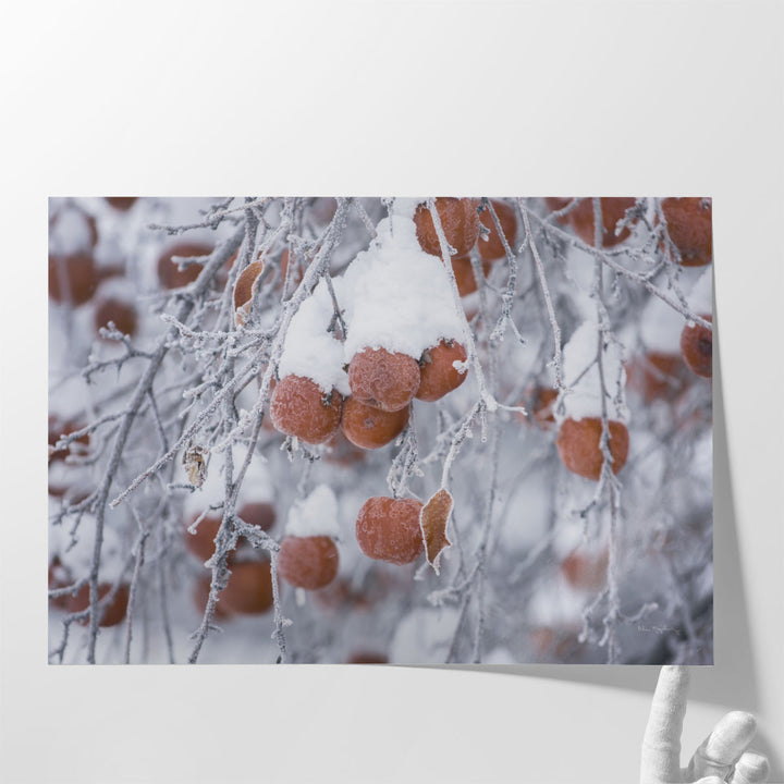 Orchard in Winter - Canvas Print Wall Art