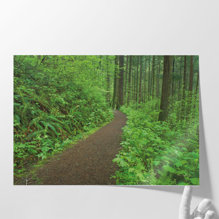 Hiking Trail in Columbia River Gorge I - Canvas Print Wall Art