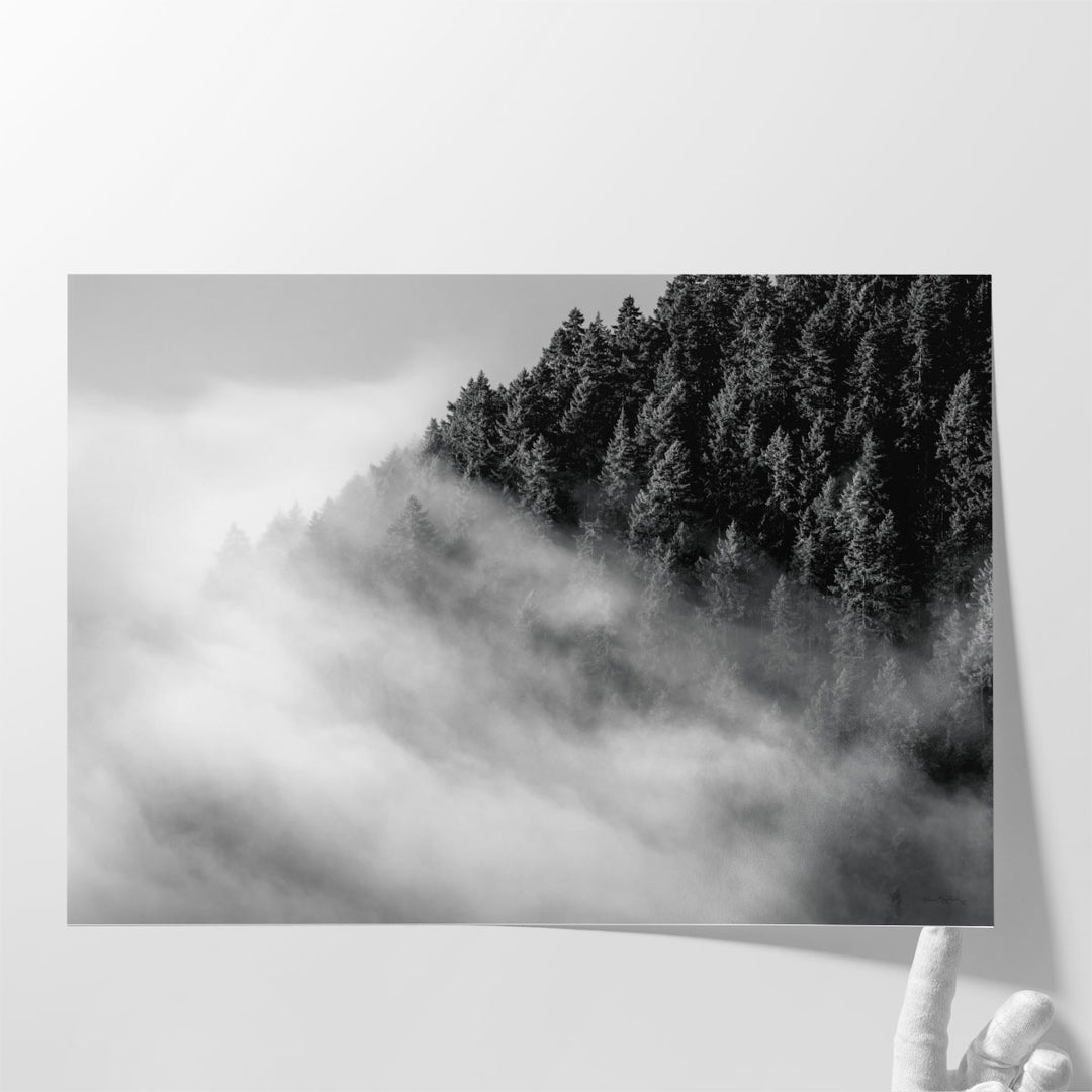 Fog and Forest I Black and White - Canvas Print Wall Art