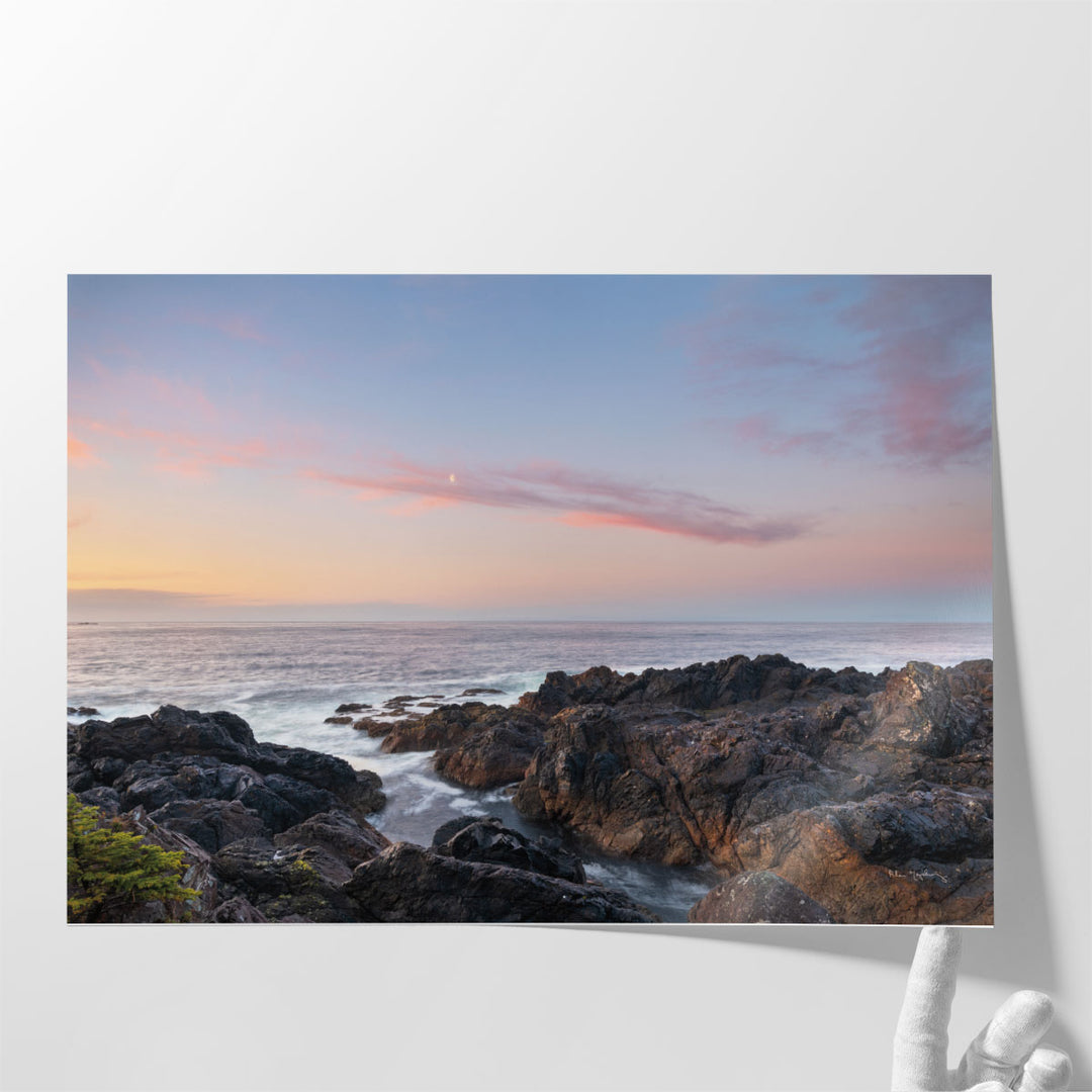 Rugged Coast Along Wild Pacific Trail - Canvas Print Wall Art