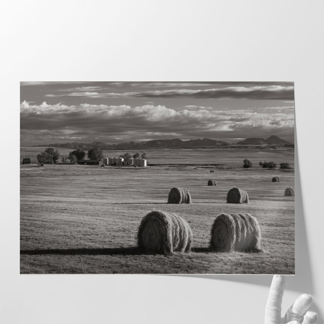 Montana Hay Bales - Canvas Print Wall Art