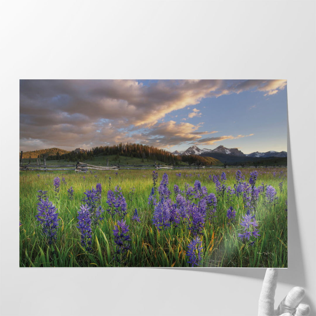 Camas Meadows - Canvas Print Wall Art