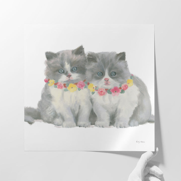 Cutie Kitties VIII - Canvas Print Wall Art