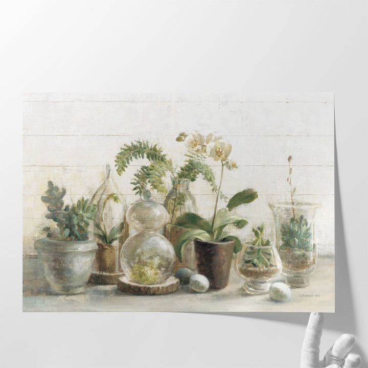 Greenhouse Orchids on Shiplap - Canvas Print Wall Art