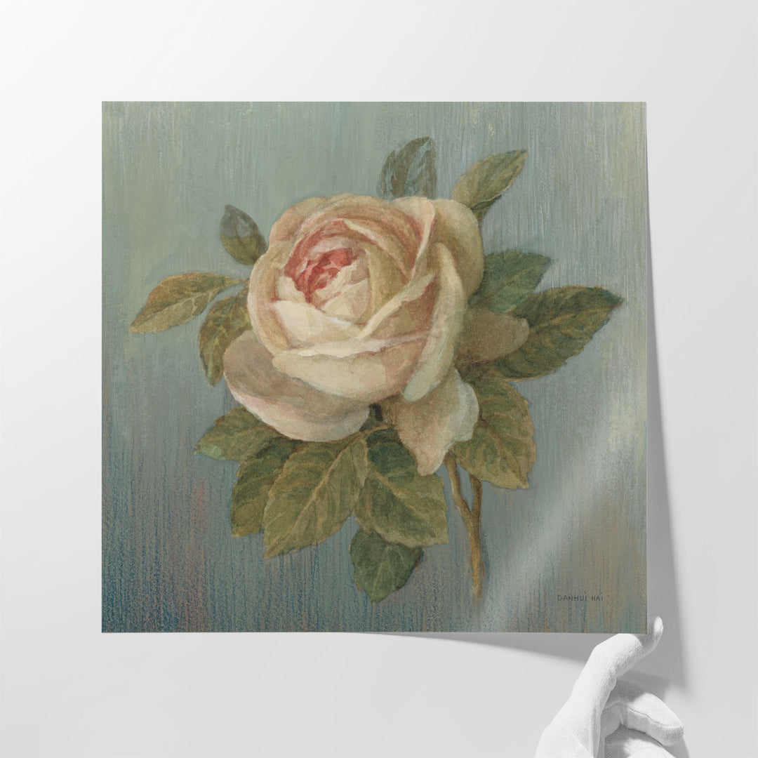 Cottage Rose - Canvas Print Wall Art