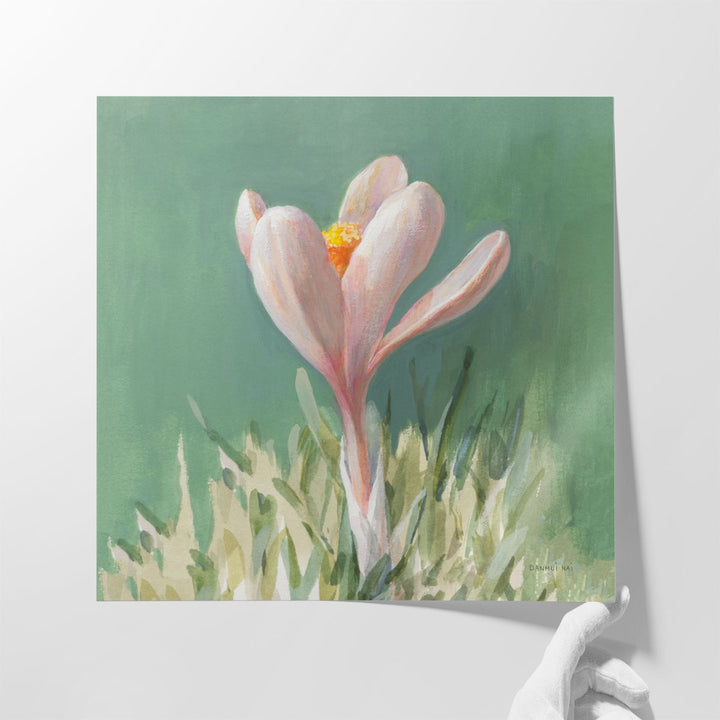 Soft Crocus - Canvas Print Wall Art