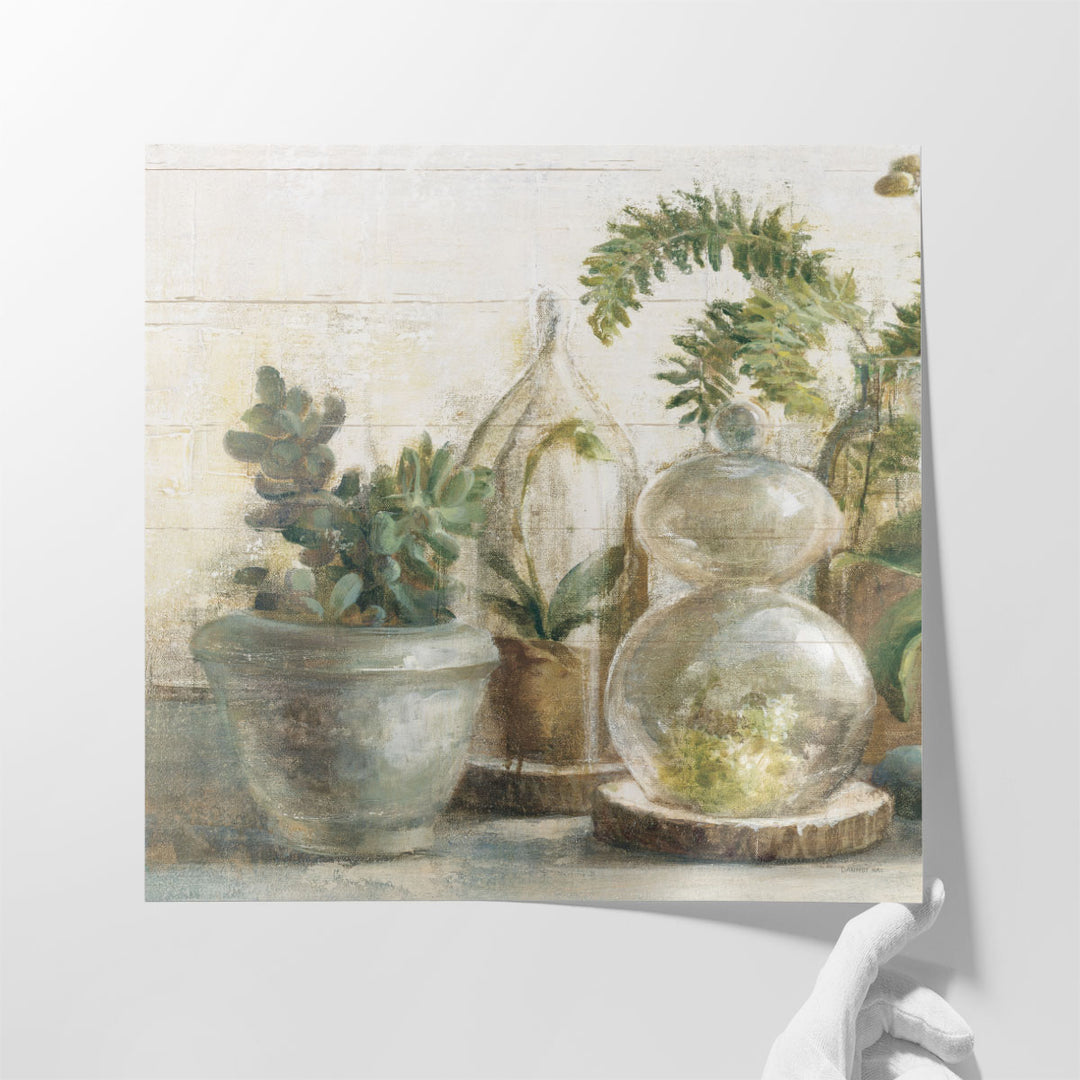 Greenhouse Orchids on Shiplap II - Canvas Print Wall Art