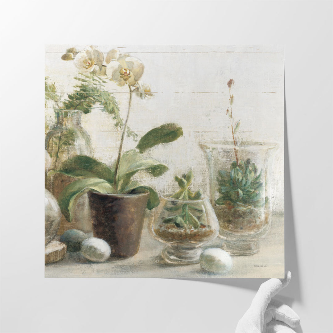 Greenhouse Orchids on Shiplap III - Canvas Print Wall Art