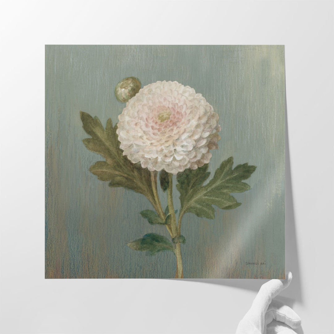 Cottage Chrysanthemum - Canvas Print Wall Art