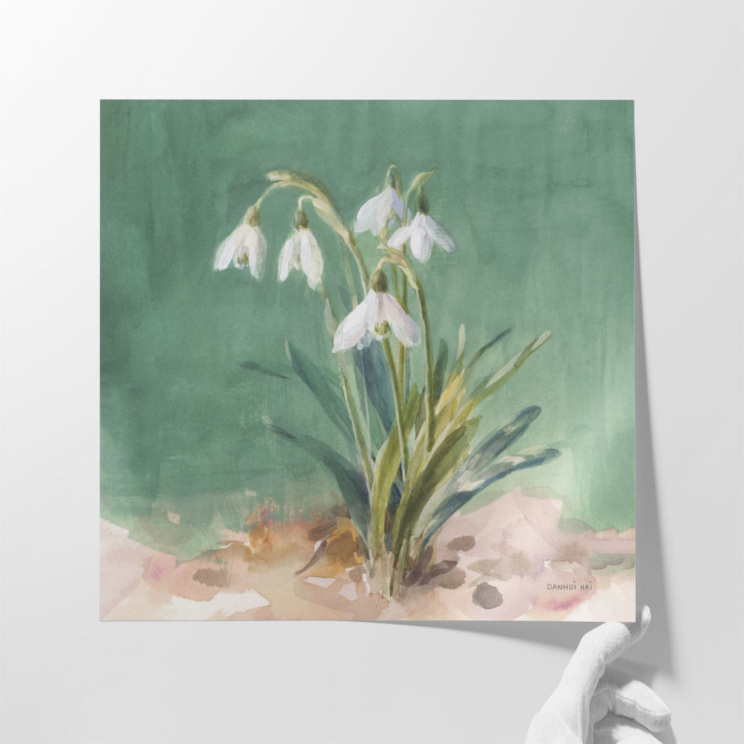 Soft Dewdrops - Canvas Print Wall Art