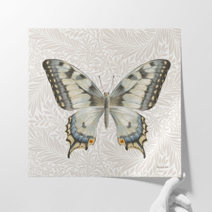 Beetles and Butterflies I - Canvas Print Wall Art