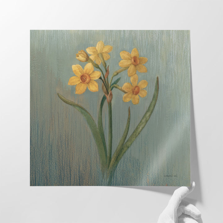 Cottage Daffodil - Canvas Print Wall Art