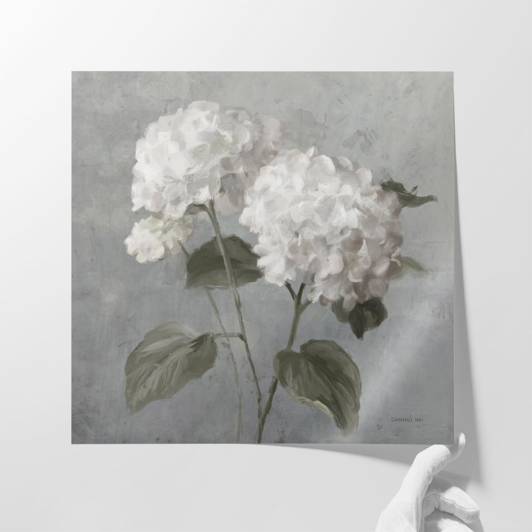 White Hydrangeas - Canvas Print Wall Art