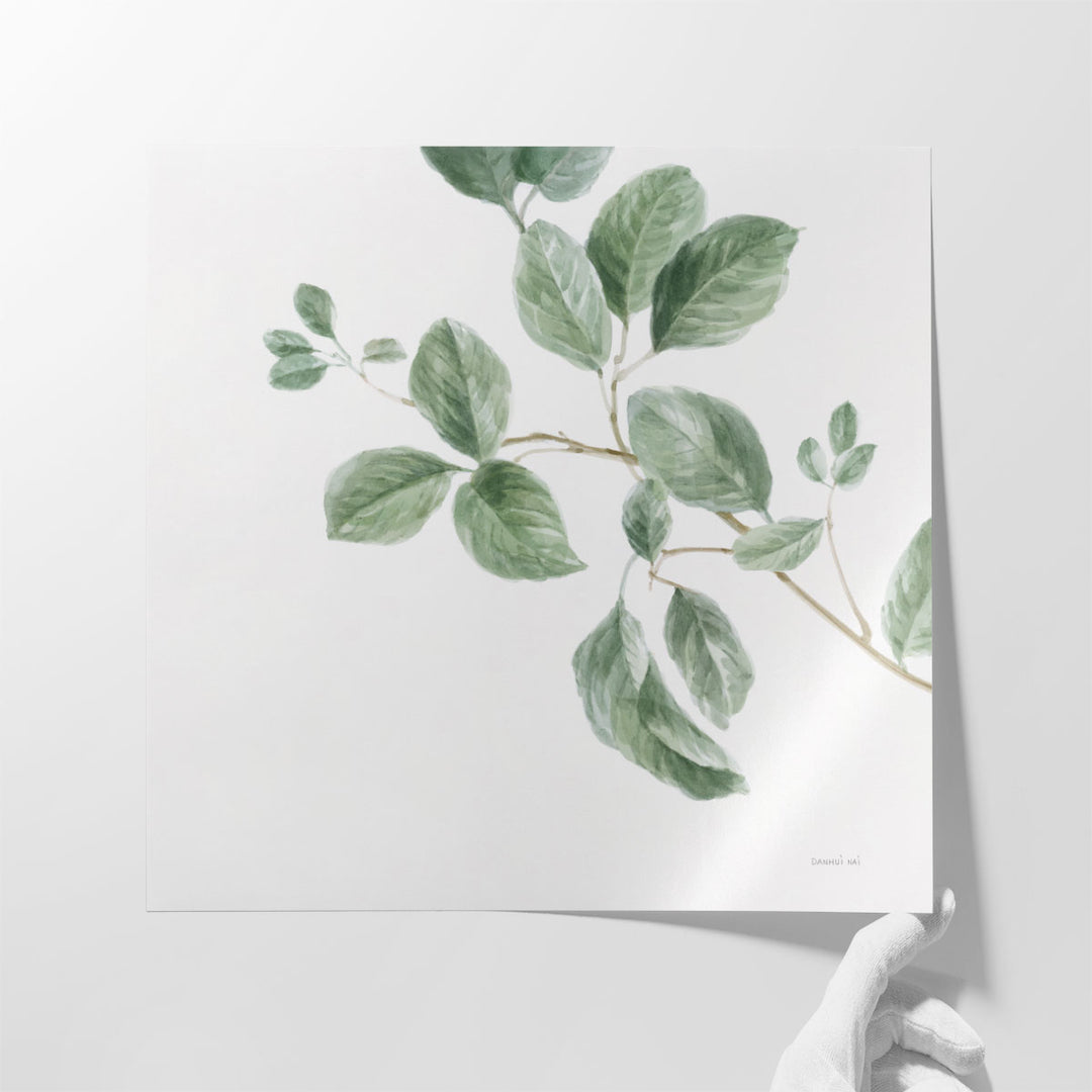 A Study of Leaves - Canvas Print Wall Art