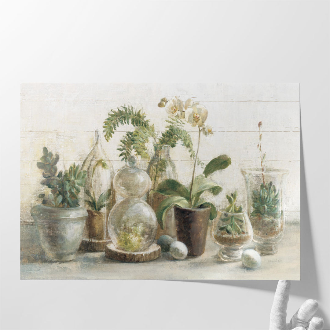 Greenhouse Orchids on Shiplap - Canvas Print Wall Art