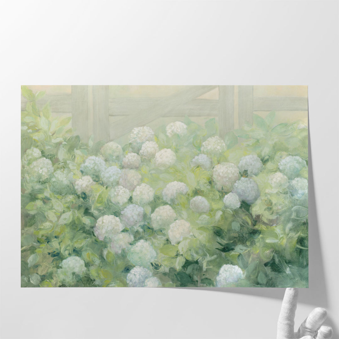 Hydrangea Lane - Canvas Print Wall Art