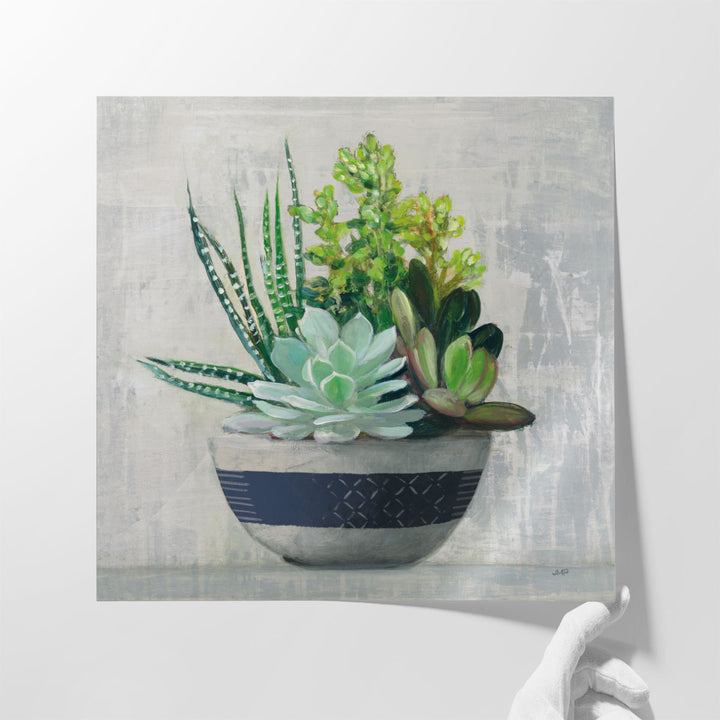 Succulent Still Life II - Canvas Print Wall Art