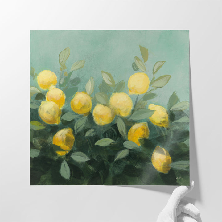 Lemon Grove II - Canvas Print Wall Art