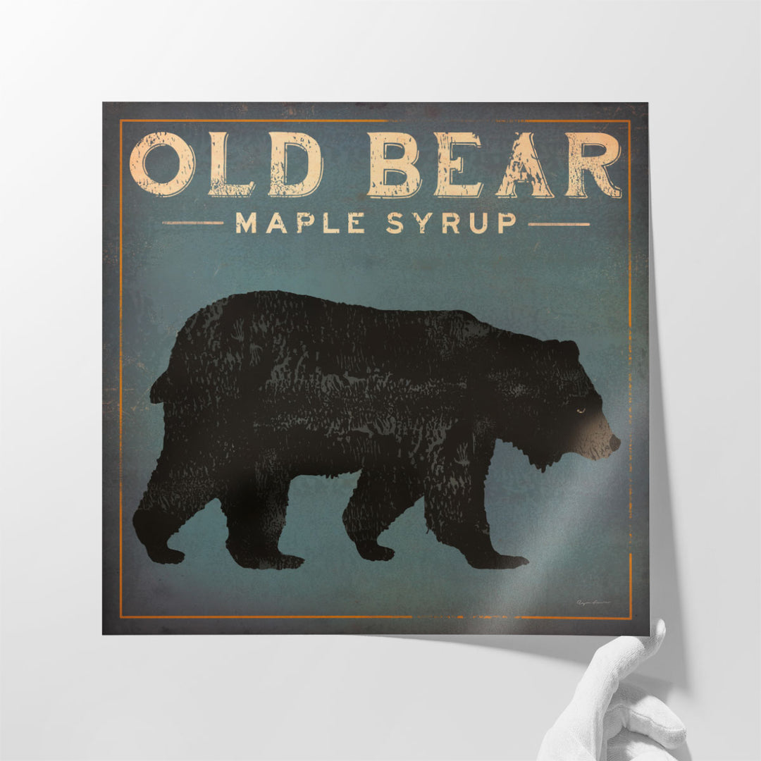 Old Bear - Canvas Print Wall Art