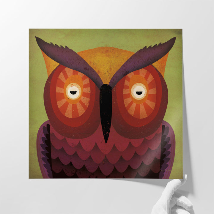 Owl Wow - Canvas Print Wall Art