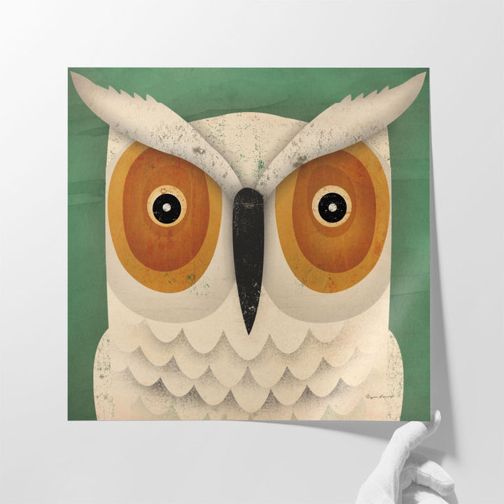 White Owl - Canvas Print Wall Art