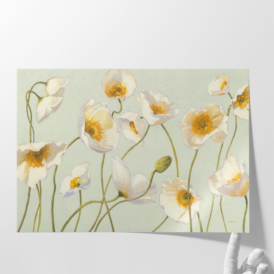 White and Bright Poppies - Canvas Print Wall Art