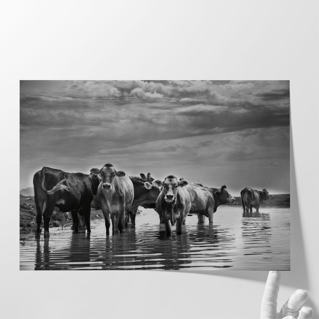 In the River - Canvas Print Wall Art